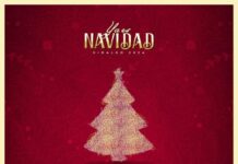 Vive el encendido del árbol