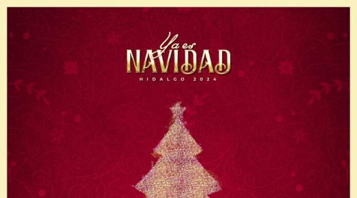 Vive el encendido del árbol