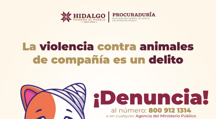 Denuncia delitos contra los animales y ayuda a salvar vidas.