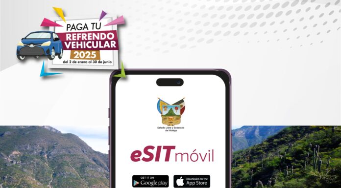 ¡Paga tu refrendo vehicular en línea este 2025! 🚗