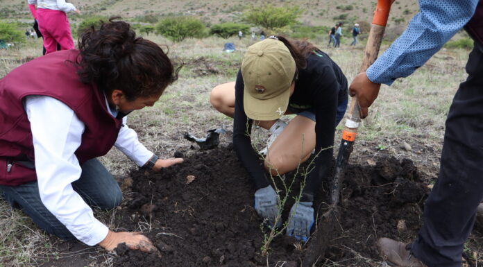 Hidalgo mantiene su compromiso con la sostenibilidad