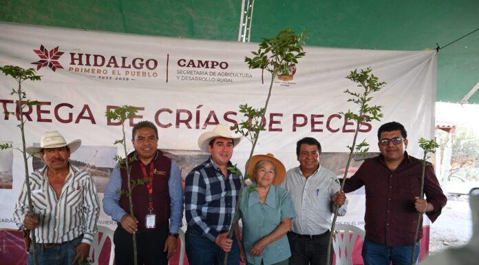 Impulsa Saderh la acuacultura con la entrega de 225 mil crías de tilapia