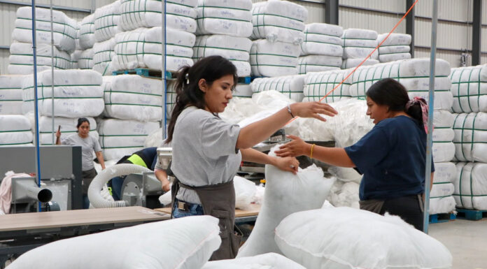 Hidalgo rompe récord histórico en empleo formal en mayo de 2025