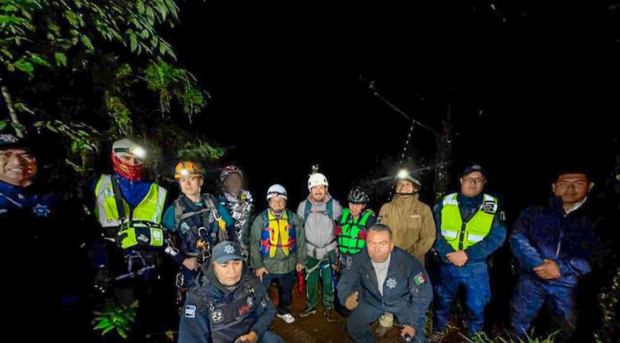 Localizan a cinco personas que estaban extraviadas en el bosque