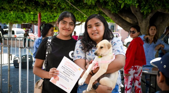 Ixmiquilpan celebra el Segundo Festival “Almas con Tradición” con actividades dedicadas al bienestar animal