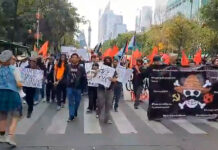 Todo lo que debes saber de la Gen-Z que se manifestará el 15 de noviembre en CDMX