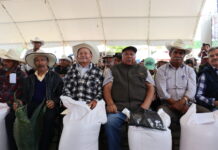 Con entrega de semillas en los 84 municipios, impulsa gobierno de Hidalgo productividad del campo