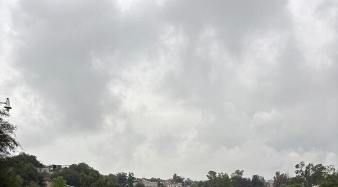 Avanza restauración del río Tula con acciones integrales de inspección, limpieza, reforestación y recuperación de microcuencas