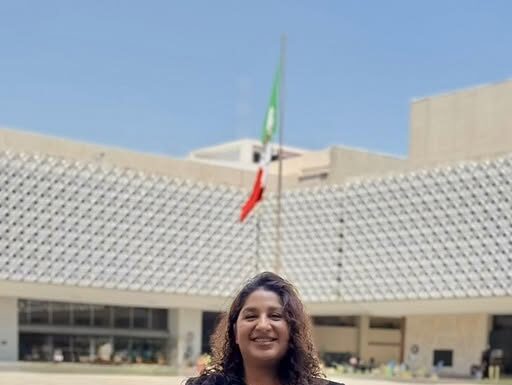 Busca Ana Elsa Castillo más recursos para Tepetitlán