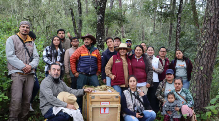 Más de 1.7 millones de pesos al año para proteger la fauna silvestre en Hidalgo