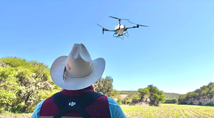 Tepeji del Río amplía el uso de tecnología agrícola con aplicación de herbicidas mediante dron