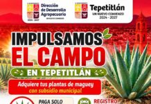 Maguey en peligro de existincion