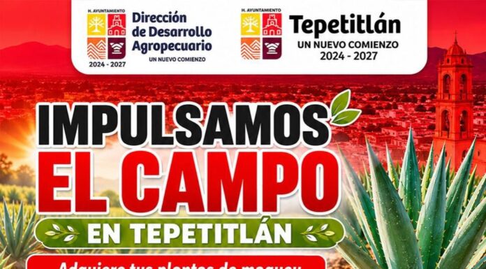 Maguey en peligro de existincion