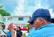 Capacitación con el gusano barrenador
