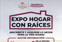 ¡Todo para tu hogar a precios accesibles! No te pierdas la Expo Hogar con Raíces
