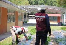 Huertos Escolares en Tepeji: Sembrando conocimiento, cosechando futuro.