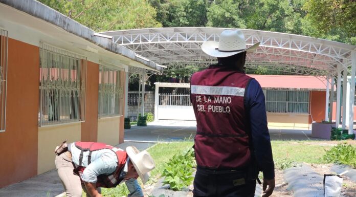 Huertos Escolares en Tepeji: Sembrando conocimiento, cosechando futuro.