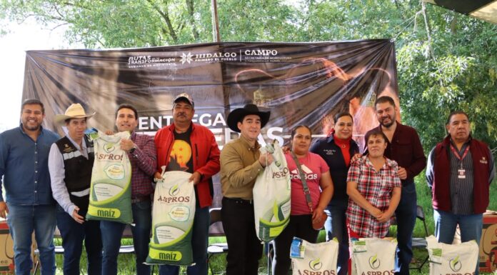¡Inversión millonaria para el campo! Entregan terneras, vientres ovinos e insumos a más de 500 productores de Hidalgo