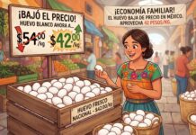 Se desploma el precio del huevo, posible sobreproducción