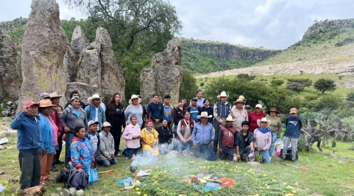 Reforestación en Los Órganos fortalece el cuidado ambiental en Santa María Macua