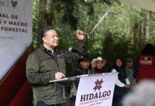 Julio Menchaca entrega dos millones de plantas para reforestar los 84 municipios