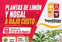 Aviso importante Tepetitlan
