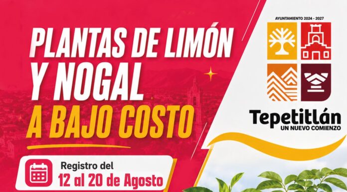 Aviso importante Tepetitlan