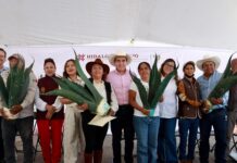 Fortalece Saderh al campo con apoyos productivos por más de 6.8 millones de pesos