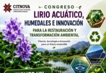 Abordarán retos del lirio acuático y los humedales en congreso organizado por Citnova