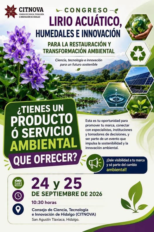 Lirio acuático y humedales